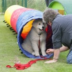 im Tunnel