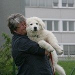 Schmusebacke