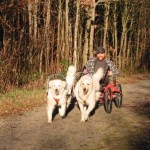 Eysha und Ravasz im sacco-cart