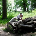 im Wald