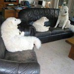 Was gibt's im Fernsehen?