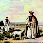 Hirtenhunde in der Puzta