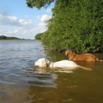...dann steht einem das Wasser bis zum Hals...