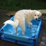 Wasserbad 
