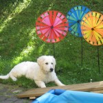 Windspiel im Garten