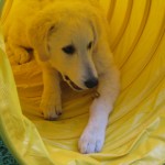 mein Tunnelversteck