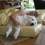 Mike schmuggelt Mogli mit ins Bett