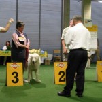 Weltsiegerzuchtschau DO 2003- ROK V3