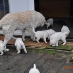 12 ...und hier geht´s wieder ins Warme...