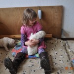 01 Annabella hat sich Hündin rosa ausgesucht