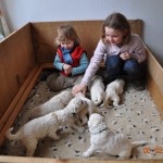05 die ersten Kinder kommen zu Besuch