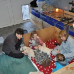 15 nach dem Füttern wird im warmen Hundezimmer weitergeschmust