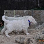 11 R4 hat einen neuen Kollegen entdeckt