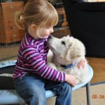 Jasz-Józán vom Drachenfels