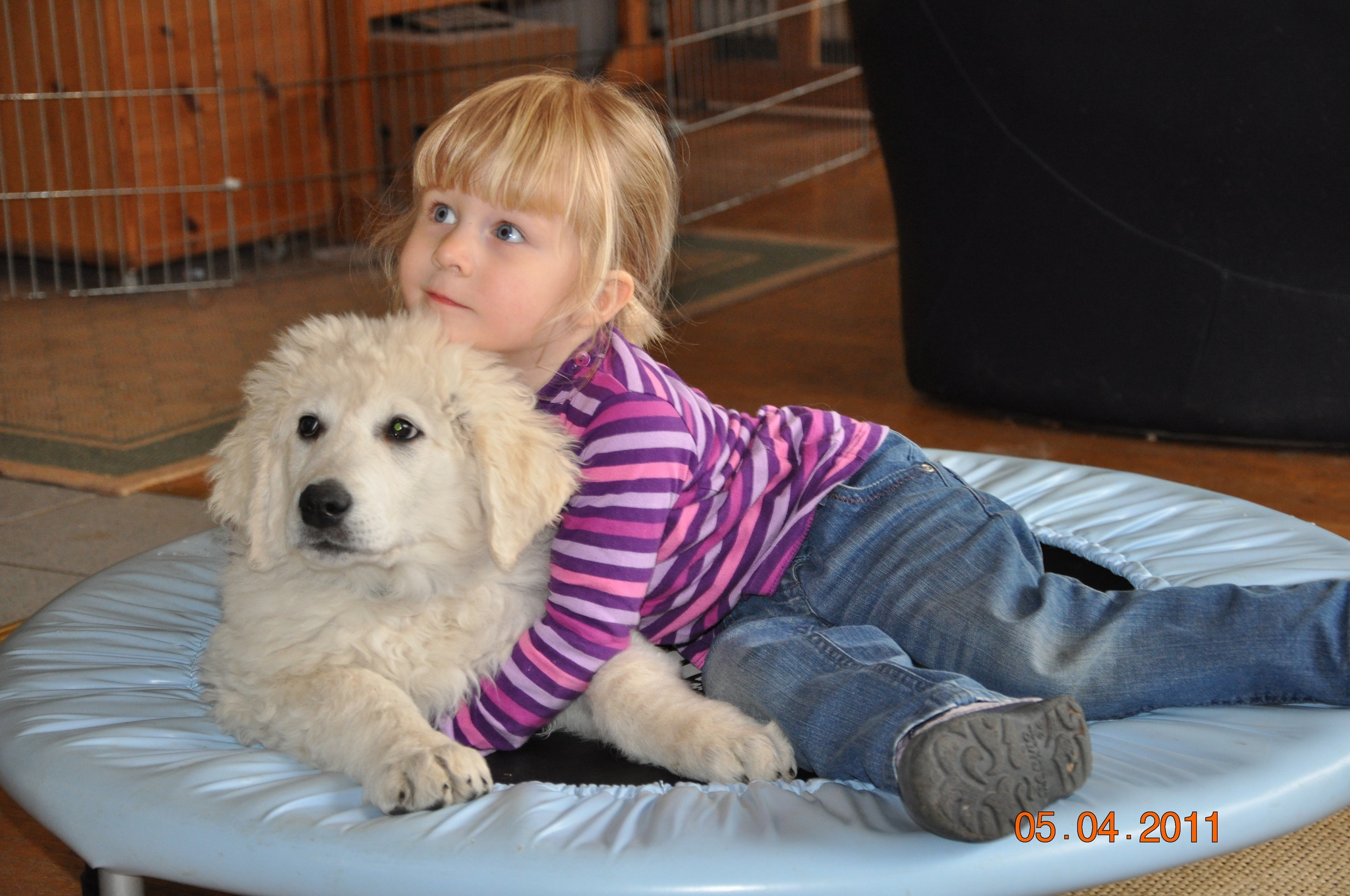 Jámbor-Jelek vom Drachenfels