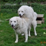 ...wieder ein voller Erfolg....