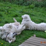 ...sie genießt das Vorspiel in vollen Zügen...