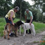...fremden Hunden begegnen wir mit freundlichem Respekt....