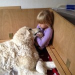 Urvertrauen..........