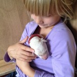 hier ist es schön warm....