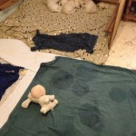 ...und wir lernen sehr schnell, das Pippi draussen zu erledigen....