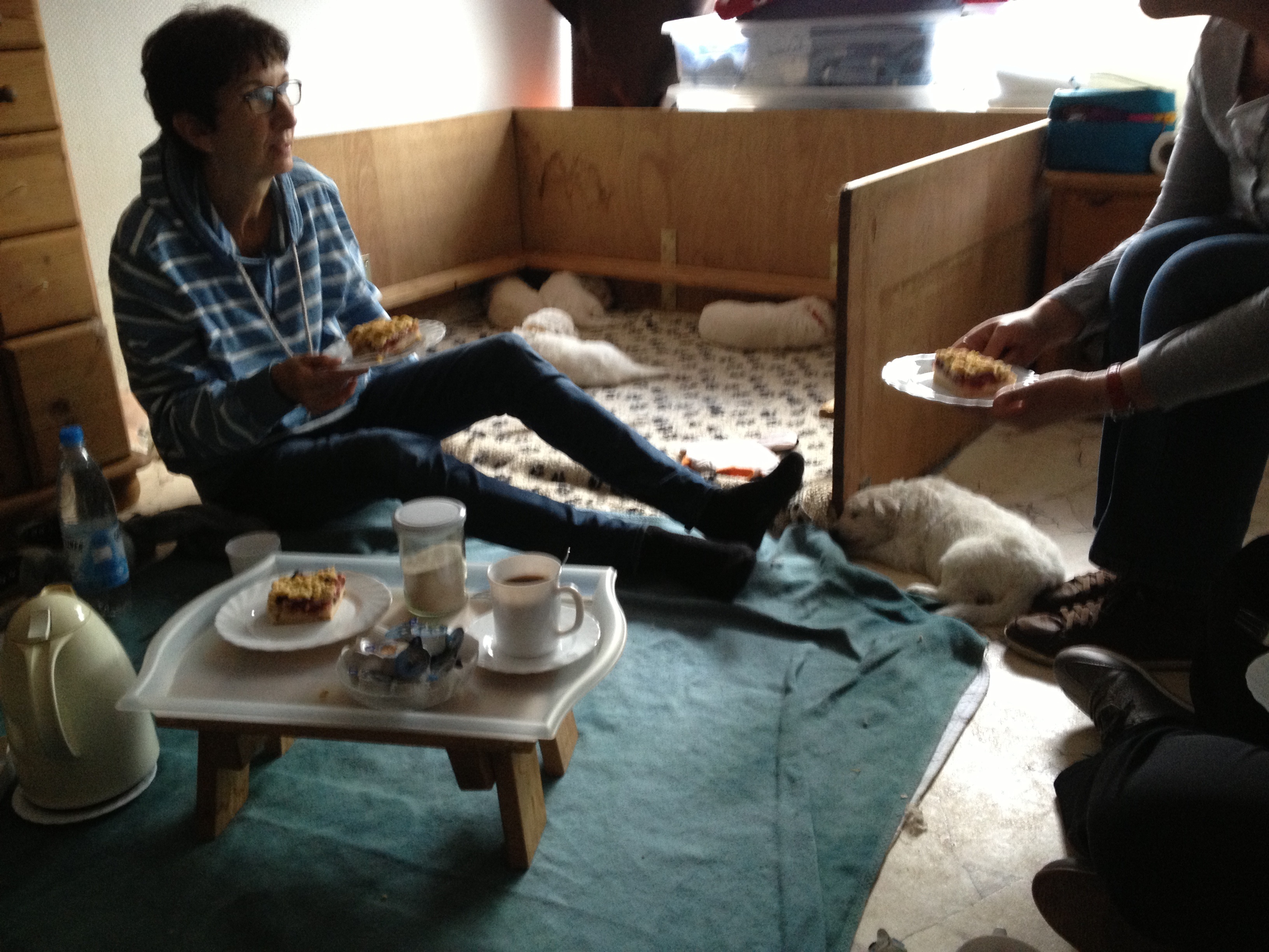 Picknick im Welpenzimmer....