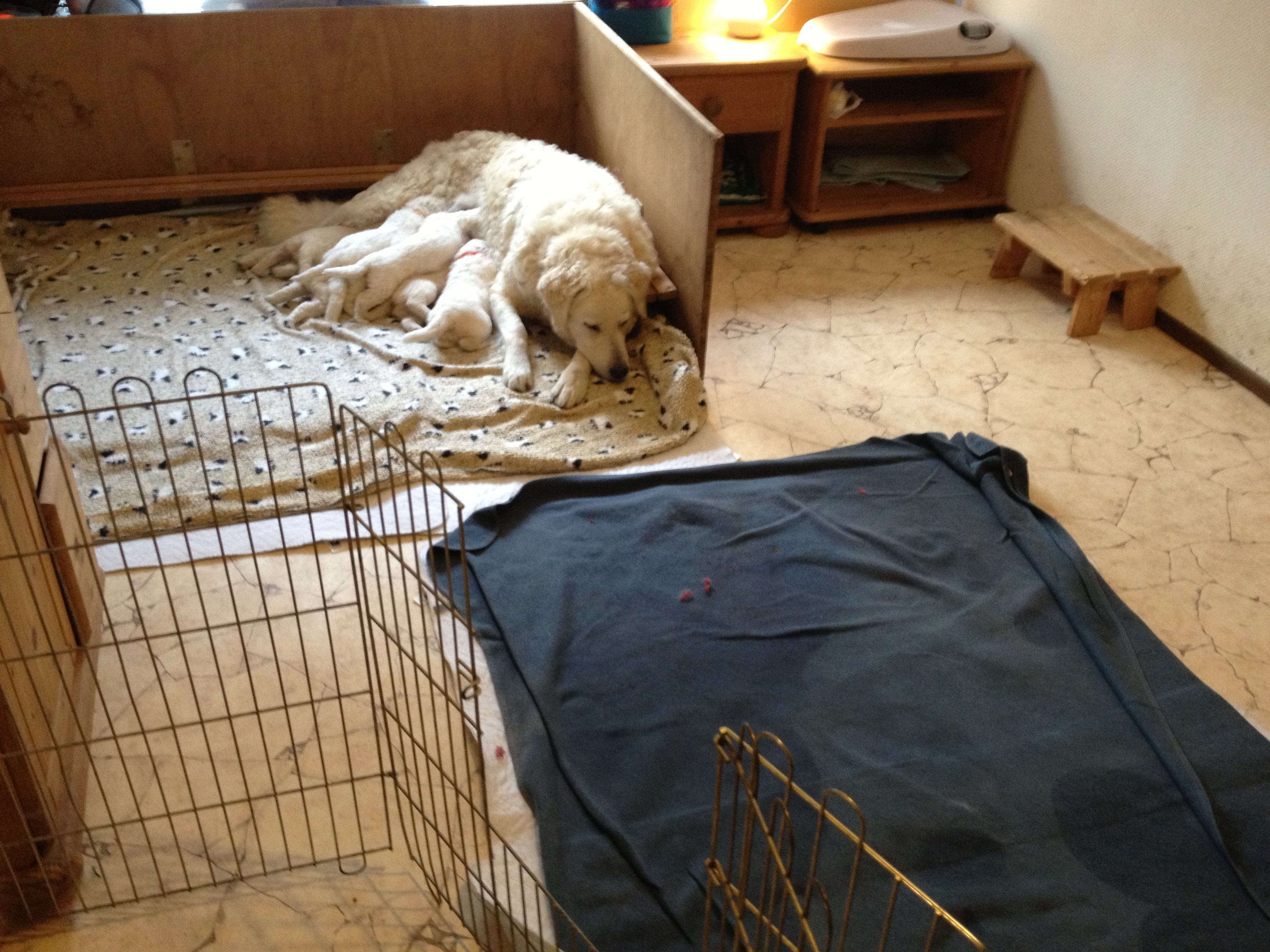 die Wurfkiste ist offen...