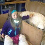 Mama Gyöngyi bekommt auch ein paar Streicheleinheiten ab