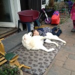 drei Stunden zuvor ...hatte er noch mächtig Respekt vor den vielen weißen Riesen...