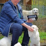 ...immer wieder ein ganz besonderes Erlebnis auch für mich als Züchtermama.....