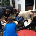 ...und Mama Gyöngyi kriegt auch was ab