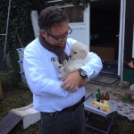 Hündin Orange hat ihre neuen Dosenöffner schon gefunden...