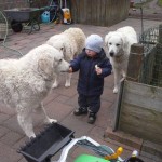 ....und ebenso sanftmütig....