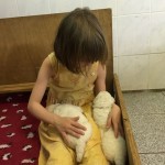 passen auch zwei hin....