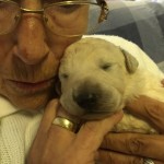 ...hat sich verliebt.....